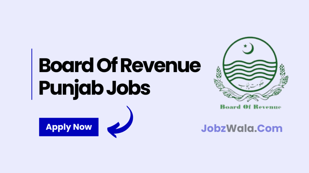 Board Of Revenue Punjab Jobs 2024